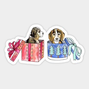 Two Beagles In Boxes Sticker